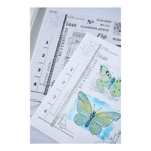 Sizzix Clear Stamps Set 11/Pkg w/ 10/Pkg Framelits Die Set by 49 & Market - Postage Wings