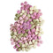 Prima Marketing Paper Flowers 60/Pkg Serene Petals - Pastel Whispers^