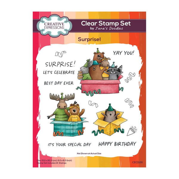 Creative Expressions Jane's Doodles Clear Stamp 6"x 8" - Surprise!*