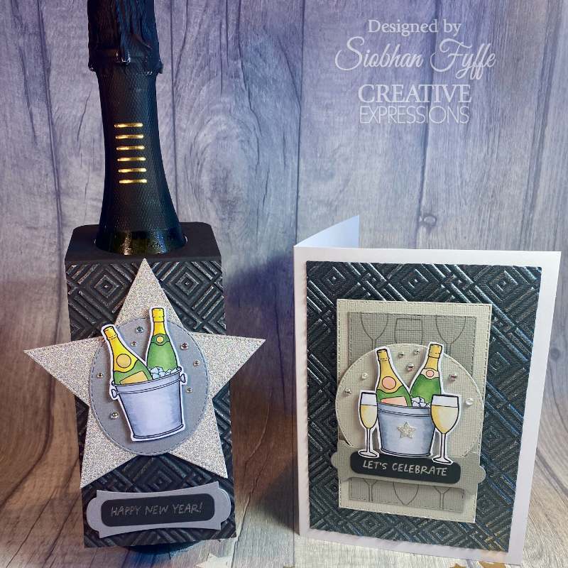 Creative Expressions Jane's Doodles Clear Stamp 4"x 6" - Celebrate*