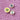 Shimelle Laine - Live The Dream Collection - Adhesive Buttons