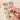Shimelle Laine - Live The Dream Collection - Adhesive Buttons