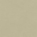 49 And Market Collection Pack 12"X12" Nature's Haven Solids