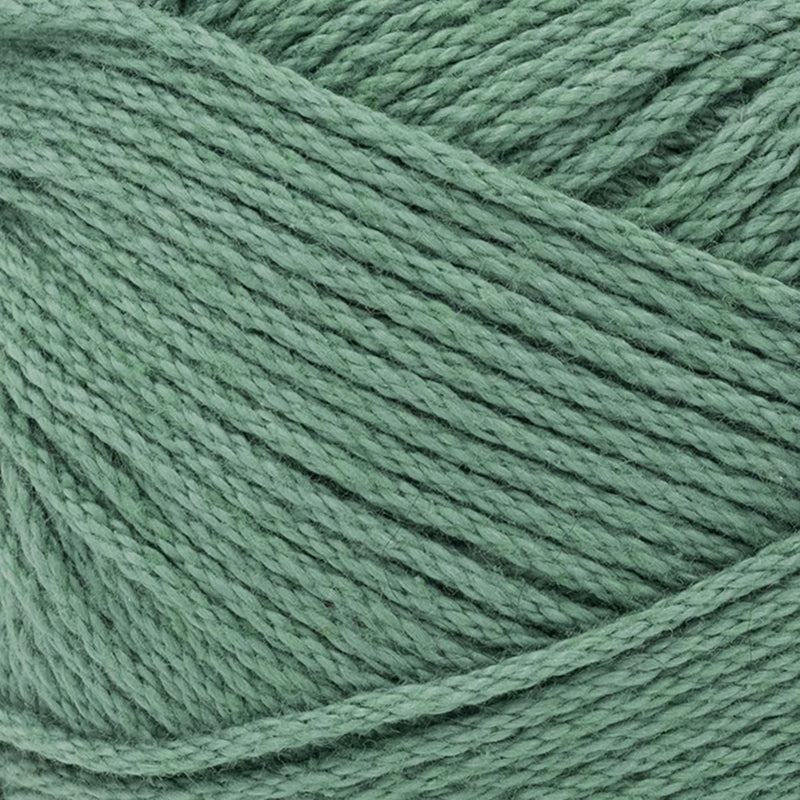 Lion Brand 24/7 Cotton Yarn - Spruce 100g