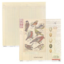 Vintage-style bird illustration sheets with lined notebook paper, handwritten notes, musical notation, and detailed drawings of various birds and eggs.