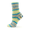 Fiddlesticks Jester 4ply Sock Yarn 50g - Lime-Blue