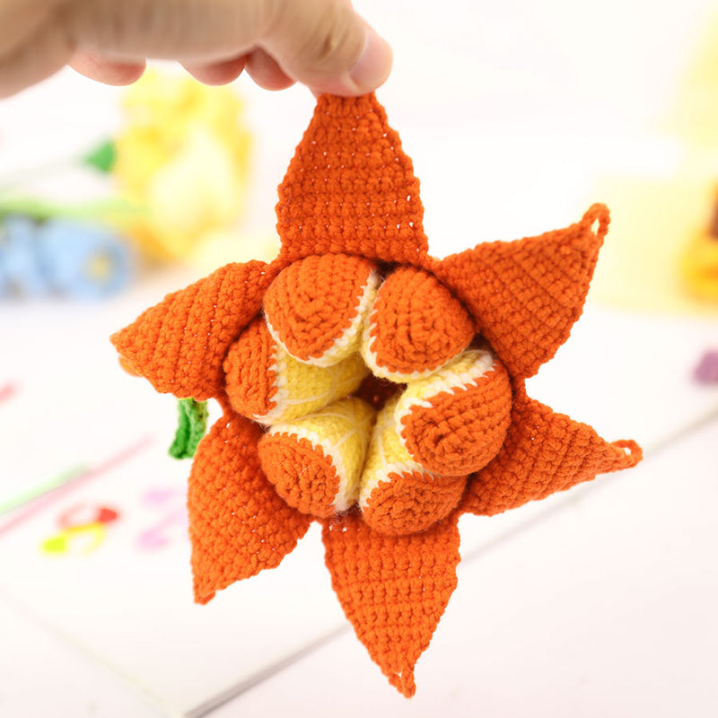 Poppy Crafts Learn to Crochet Kit