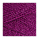 Stylecraft Special DK Premium Acrylic Yarn 100g - Plum
