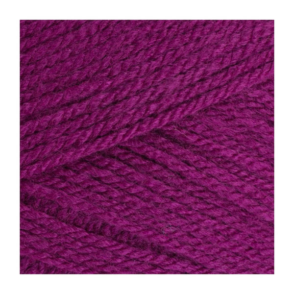 Stylecraft Special DK Premium Acrylic Yarn 100g - Plum