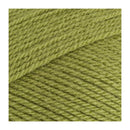Stylecraft Special DK Premium Acrylic Yarn 100g - Meadow