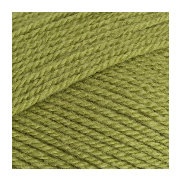 Stylecraft Special DK Premium Acrylic Yarn 100g - Meadow