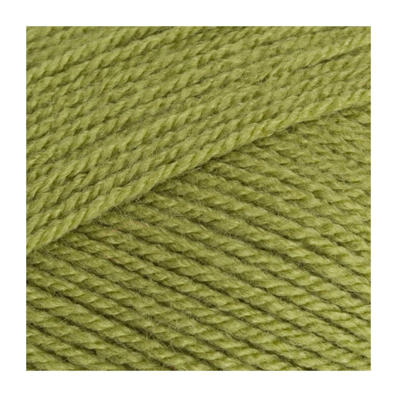 Stylecraft Special DK Premium Acrylic Yarn 100g - Meadow