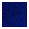 Stylecraft Special DK Premium Acrylic Yarn 100g - Royal