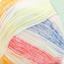 Lion Brand Ice Cream Yarn - Turtle Tracks