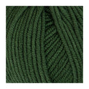 Patons Extra Fine Merino Wool 8ply 50g - Hunter