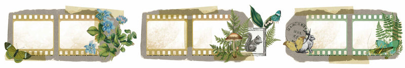 Arden Creative Studio Hidden Creek Filmstrips Kiss-cut Pet Tape 5cm x 5m