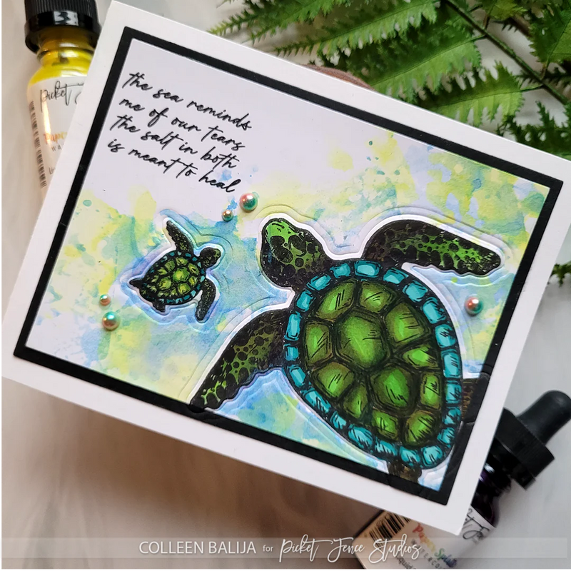 Picket Fence Studios Clear Stamp Set - A Sea Turtle's Journey
