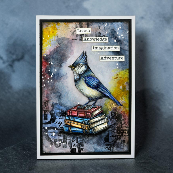 A square handmade greeting card featuring a blue jay perched on stacked books against a watercolor-style background with the words 'Learn Knowledge Imagination Adventure' at the top, photographed standing upright on a dark textured surface.