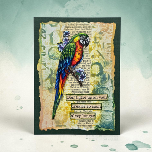A handmade greeting card featuring a colorful parrot perched among purple flowers, set against a vintage-style book page background with torn paper edges and inspirational text. The card is displayed on a light teal background with subtle watercolor splatters.