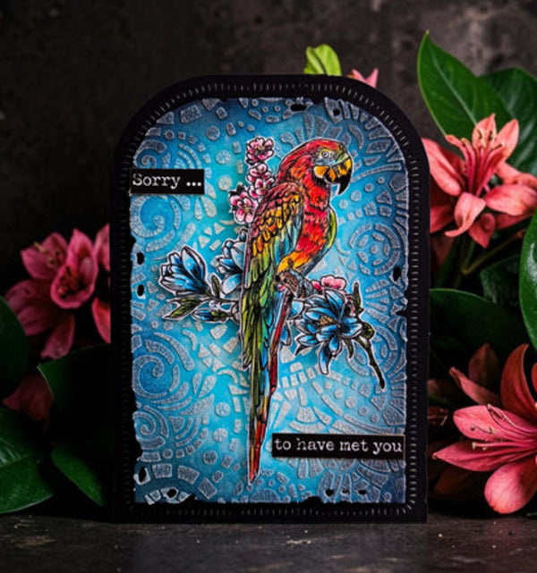 A decorative arched plaque or sign featuring a colorful parrot perched on a blue floral background with embossed swirl patterns. The sign has black borders and text reading 'Sorry.