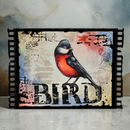 A framed bird art print featuring a detailed illustration of a red-breasted bird perched on a vintage-style collage background with the word 'BIRD' in large distressed letters. The print is presented in a black film-strip style frame against a textured gray background.