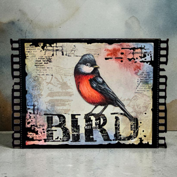 A framed bird art print featuring a detailed illustration of a red-breasted bird perched on a vintage-style collage background with the word 'BIRD' in large distressed letters. The print is presented in a black film-strip style frame against a textured gray background.
