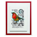 A square greeting card featuring a watercolor robin bird perched over vintage air mail stamp designs and handwritten text, set against a red border and white mat.