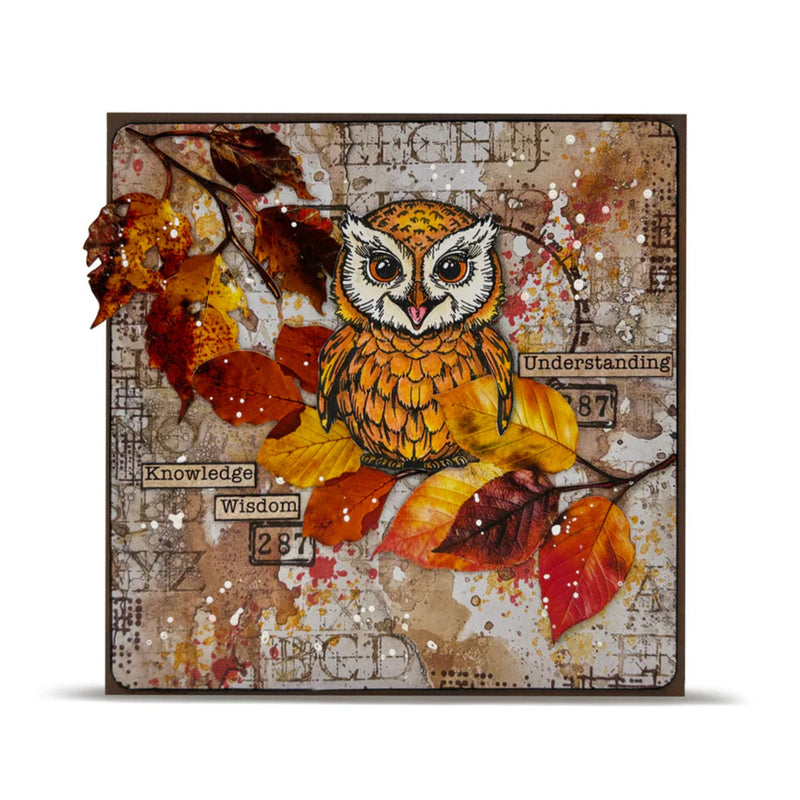 Aall & Create 6"x 6" Paper Pack