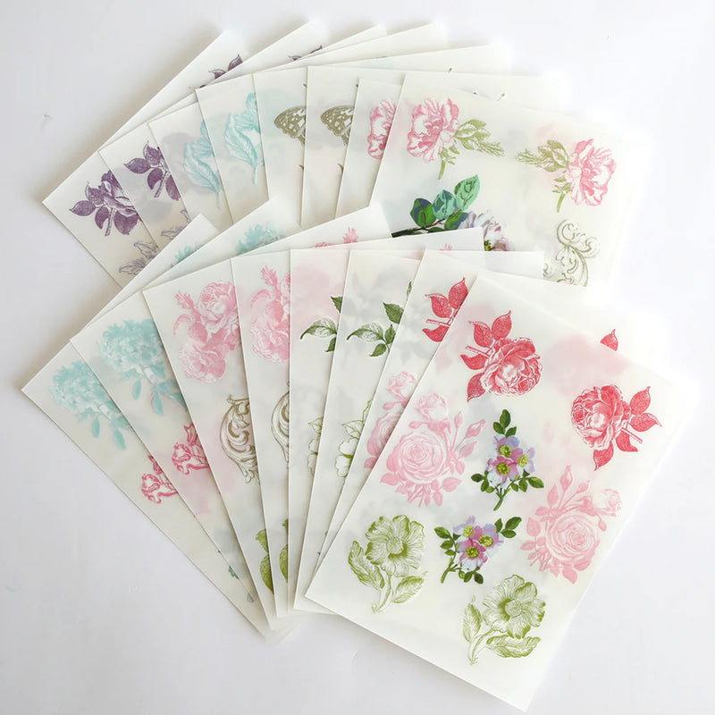 Anna Griffin Rub On Transfers - Antique Botanical