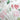 Anna Griffin Rub On Transfers - Antique Botanical