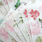 Anna Griffin Rub On Transfers - Antique Botanical