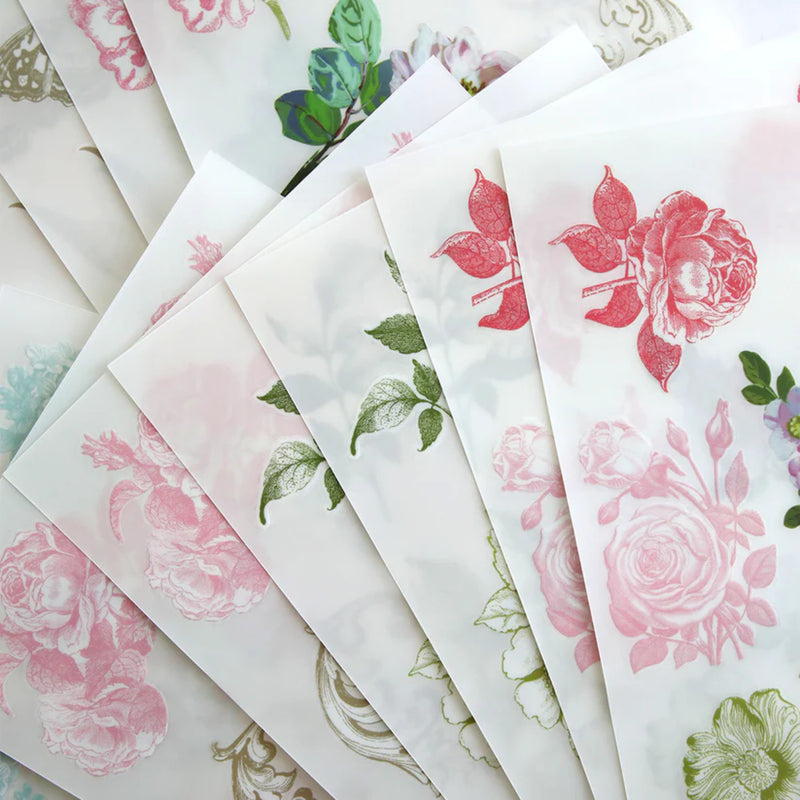 Anna Griffin Rub On Transfers - Antique Botanical