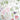Anna Griffin Rub On Transfers - Antique Botanical