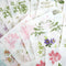 Anna Griffin Rub On Transfers - Antique Botanical