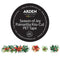 Arden Creative Studio Season of Joy Poinsettia Kiss-cut PET Tape 5cm x 5m