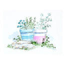 Watercolor-style illustration of two small potted plants with blue and green foliage, placed on rocks against a white background.