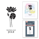 Spellbinders Press Plate ‚Äö√Ñ√∂‚àö√ë‚àö‚àÇ‚Äö√†√∂‚àö√´‚Äö√†√∂¬¨¬Æ July Water Lily Flower for Cardmaking & Calendars