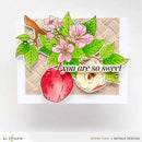 Altenew Blossoming Apple Simple Colouring Stencil Set*