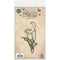 Craft Consortium Faeries Photopolymer Stamp Set Arumlillies