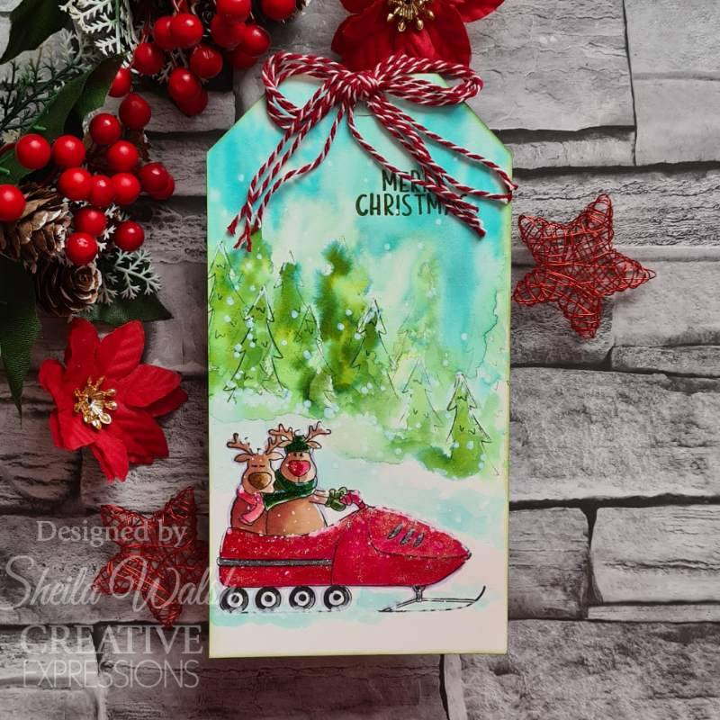 Creative Expressions Jane's Doodles Clear Stamp Set 6"x 8" - Santa's Coming To Town*