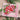 Creative Expressions Jane's Doodles Clear Stamp Set 6"x 8" - Poinsettia*