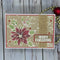 Creative Expressions Jane's Doodles Clear Stamp Set 6"x 8" - Poinsettia*