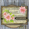 Creative Expressions Jane's Doodles Clear Stamp Set 6"x 8" - Poinsettia*