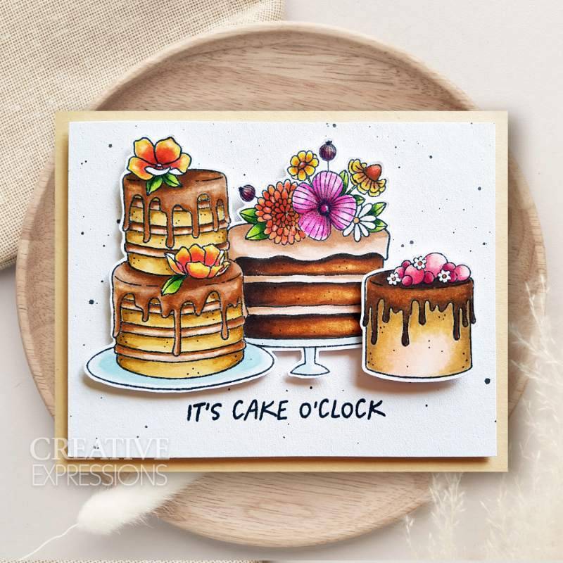 Creative Expressions Jane's Doodles Clear Stamp Set 6"x 8" - It's Cake O' Clock*