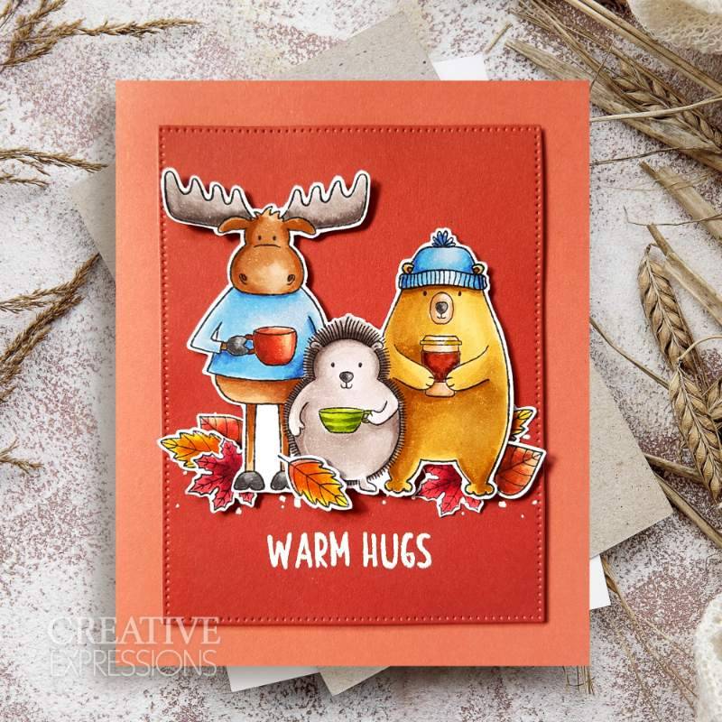 Creative Expressions Jane's Doodles Clear Stamp Set 6"x 8" - Warm Hugs^