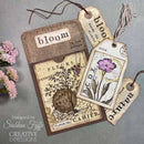 Creative Expressions Clear Stamp Set 4"x 6" By Sam Poole - Bloom