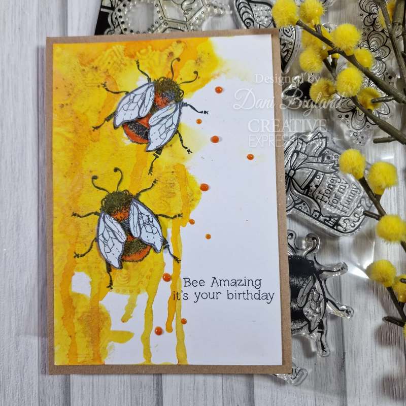 Creative Expressions Clear Stamp Set 6"x 8" By Dora Shrive - Bee Amazing