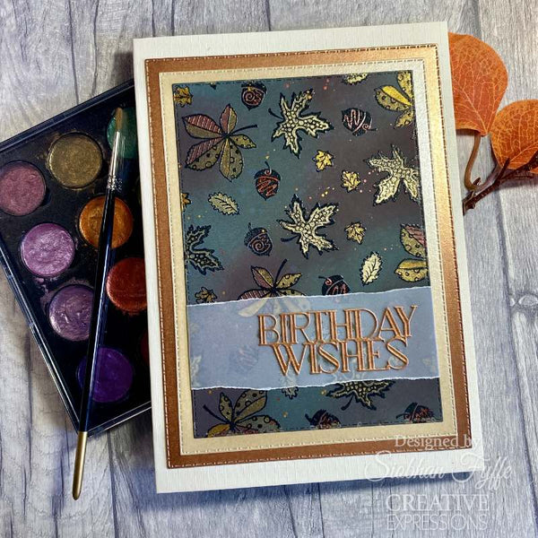 Creative Expressions Clear Stamp Set 6"x 8" By Dora Shrive - Hedgehogs