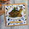 Creative Expressions Clear Stamp Set 6"x 8" By Dora Shrive - Snailed It