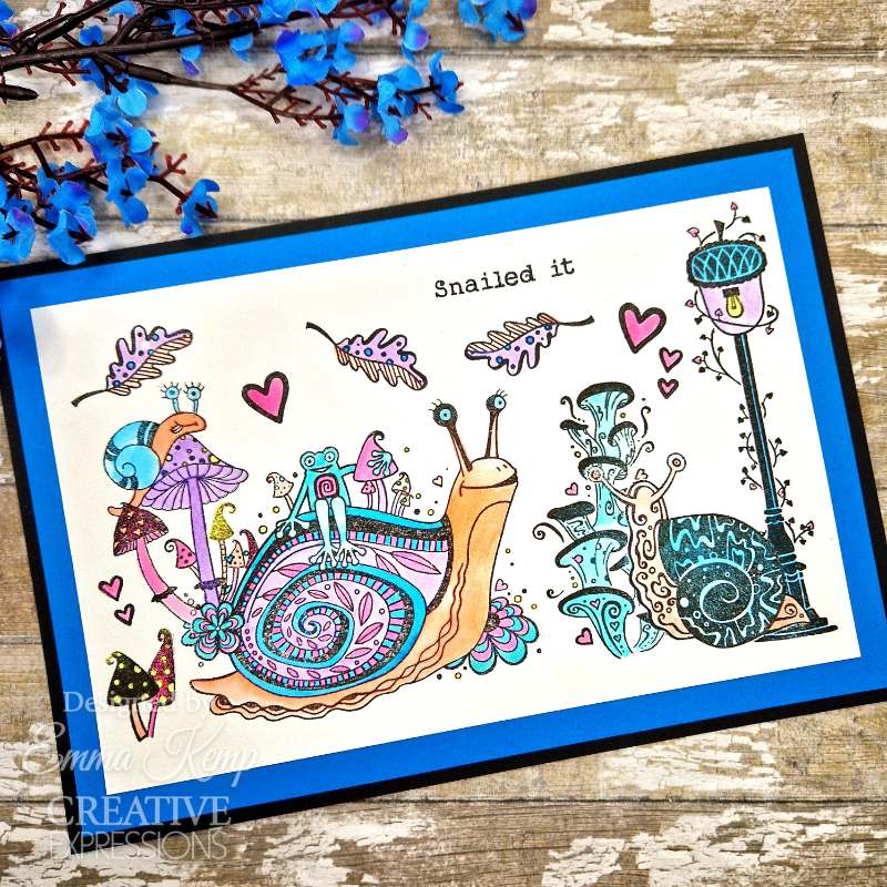 Creative Expressions Clear Stamp Set 6"x 8" By Dora Shrive - Snailed It